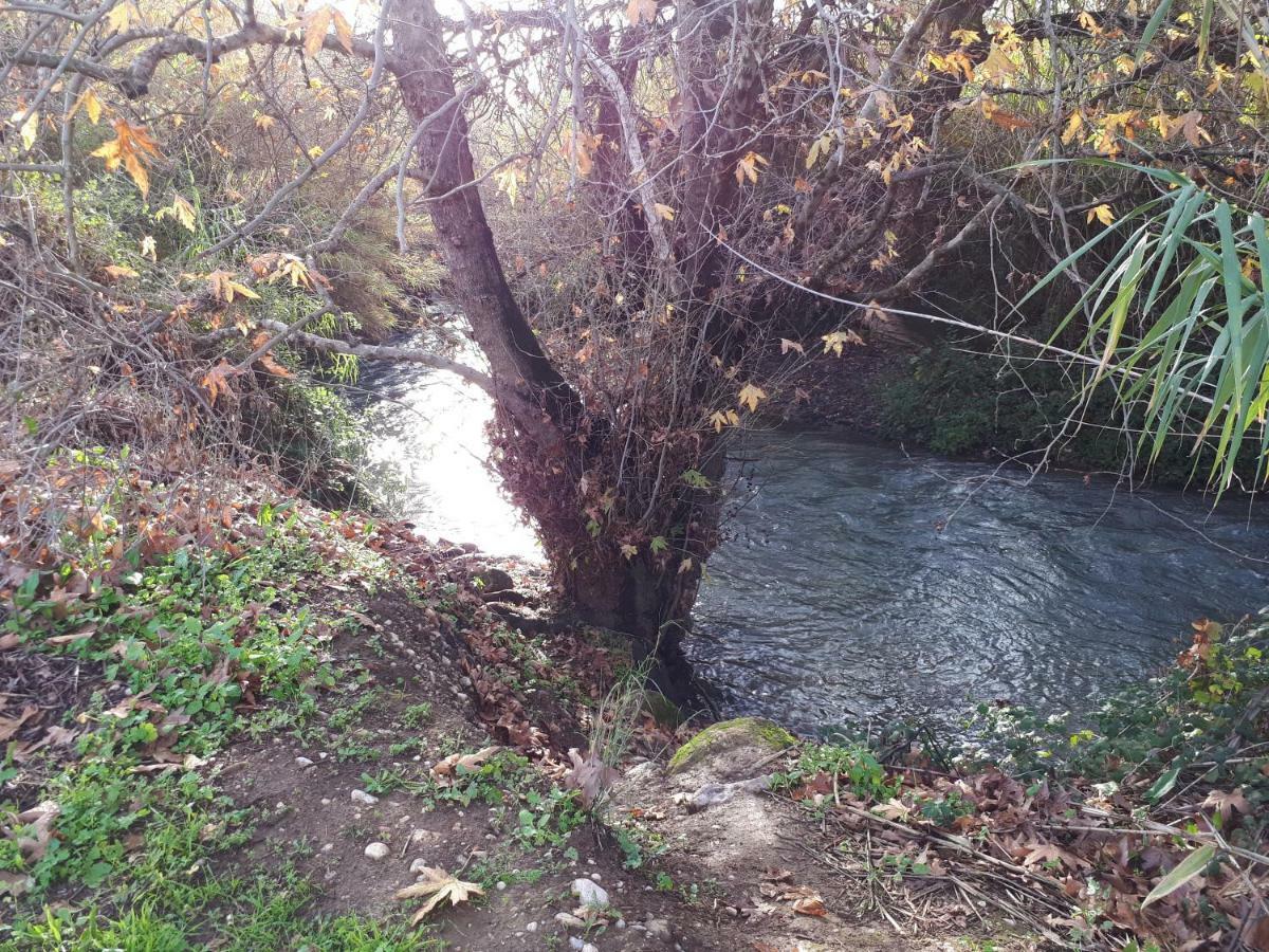 Villa By The River Facing The Hermon In Дафна Экстерьер фото